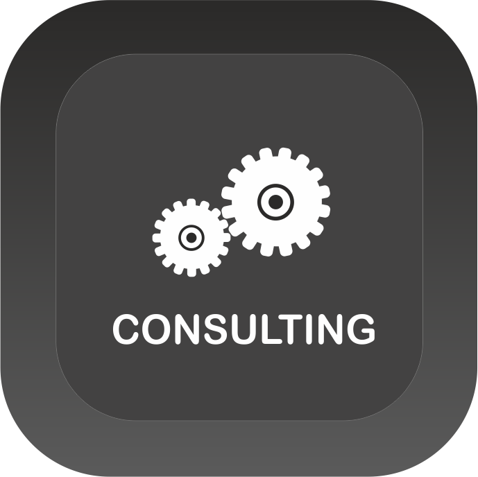 Logo CONSULTING 2 off